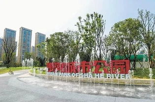 小心机绿道 2万盏芦苇灯 沙河城市公园月底...