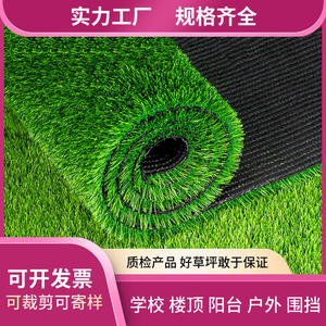 草坪草皮绿植