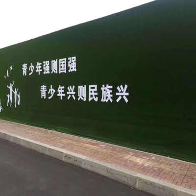 新闻 思南草坪毯护坡施工报价厂家产品