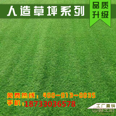 【瑞意草坪人造仿真假草坪幼儿园草坪围挡广告人工草皮楼顶阳台绿色地毯批发t1】 - 产品库 - 任丘市瑞意仿真植物厂
