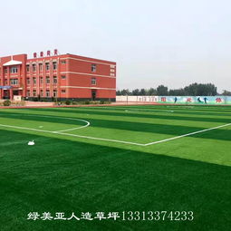 休闲草坪 运动草坪 人工草皮