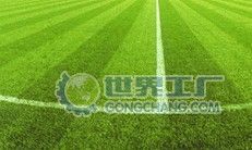 供应人造草坪价格_供应人造草坪厂家_世界工厂网产品信息库