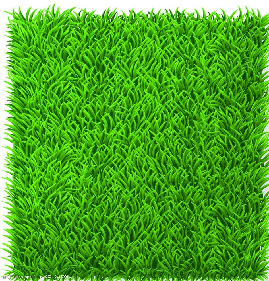 矢量绿草坪