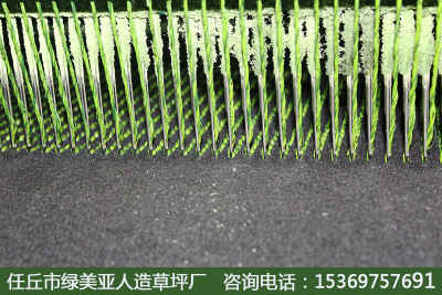 欢迎联系崇礼县草坪供应商批发商，品质保证，服务周到