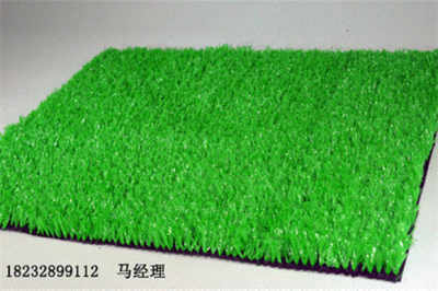 济南长清人造草坪清洁指南 全网比价与厂家选择全解析