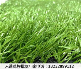 卓尼人造草坪价格与保养指南